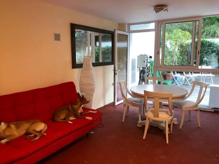 Apartamento Abierto Con Patio Matadepera Eksteriør billede